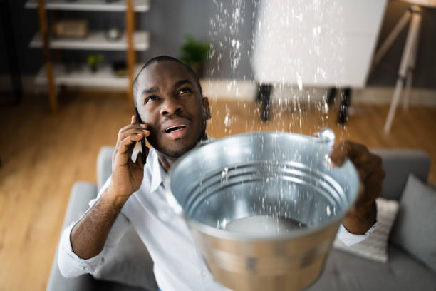 Best Residential water damage restoration  in Durango, CO