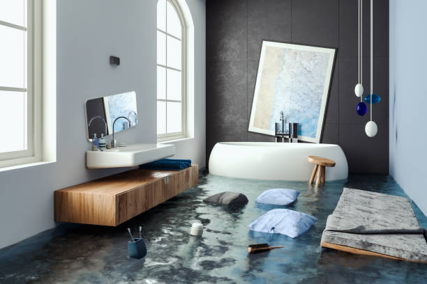 Best Flooded house restoration  in Durango, CO