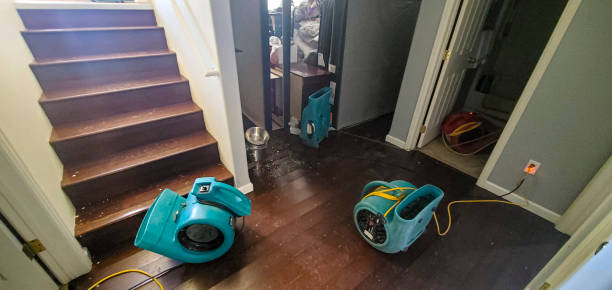 Best Local water damage restoration  in Durango, CO