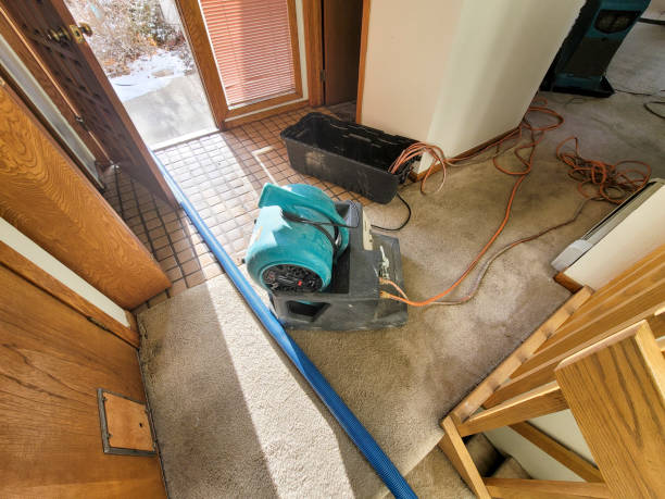 Best Flooded house restoration  in Durango, CO