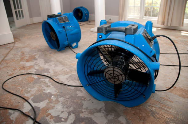 Best Mold removal after water damage  in Durango, CO