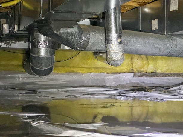 Best Mold removal after water damage  in Durango, CO