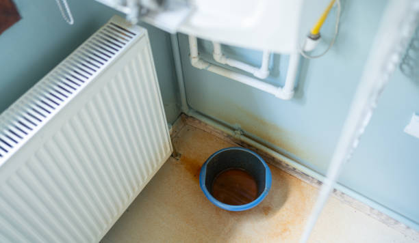 Best Water damage contractors near me  in Durango, CO