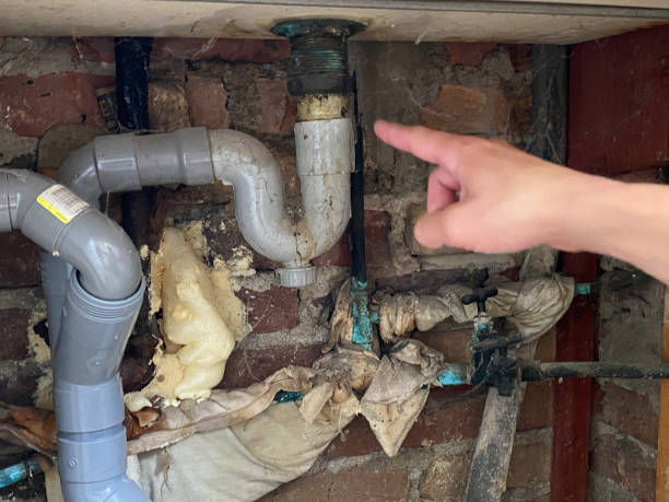 Water damage restoration insurance claims in Durango, CO