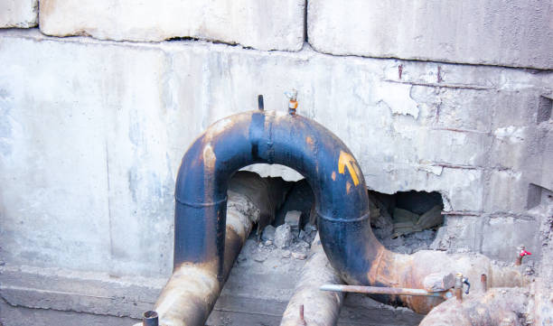 Best Carpet water damage restoration  in Durango, CO